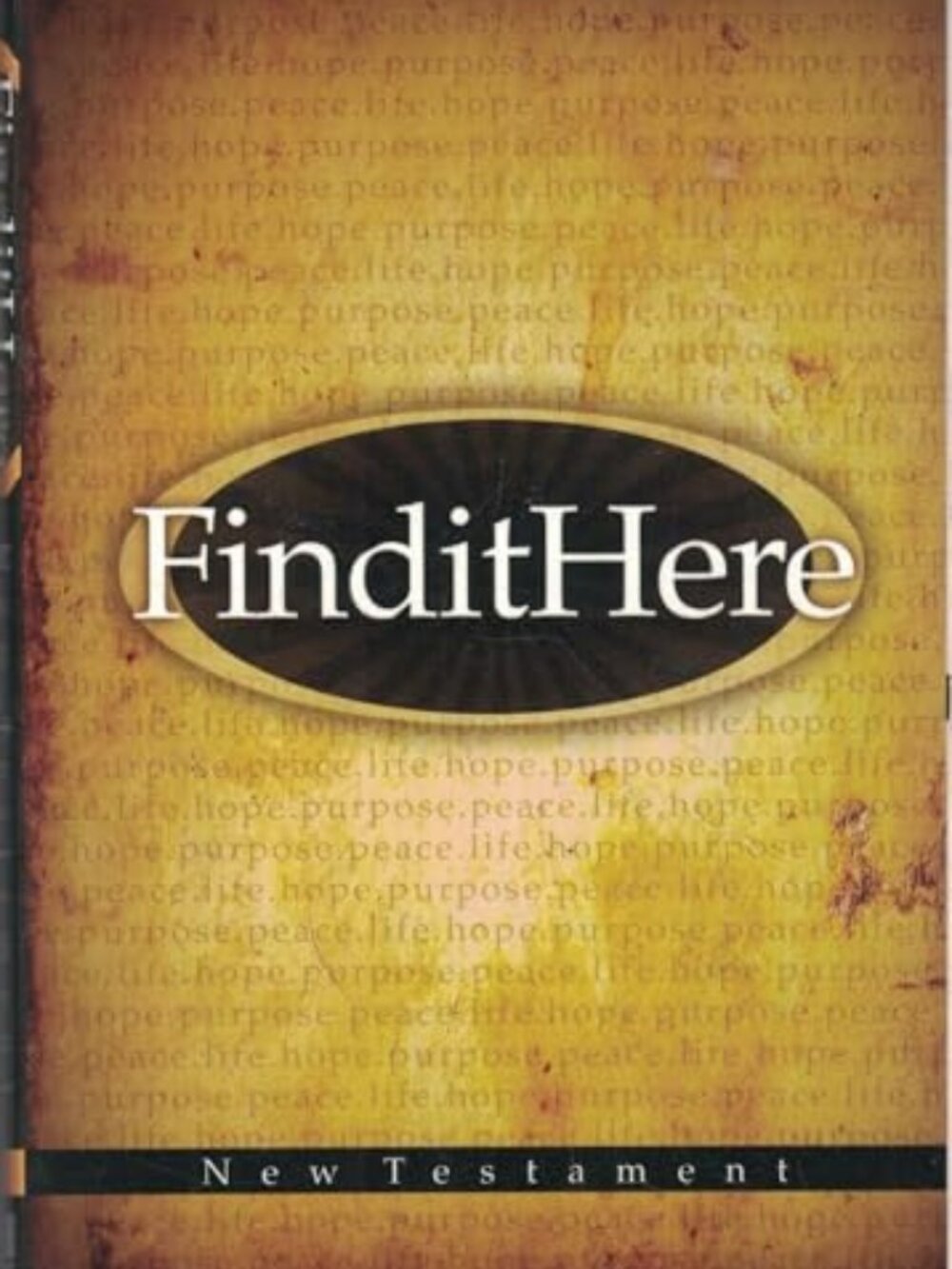 Find It Here New Testament HCSB Holman Paperback Bible